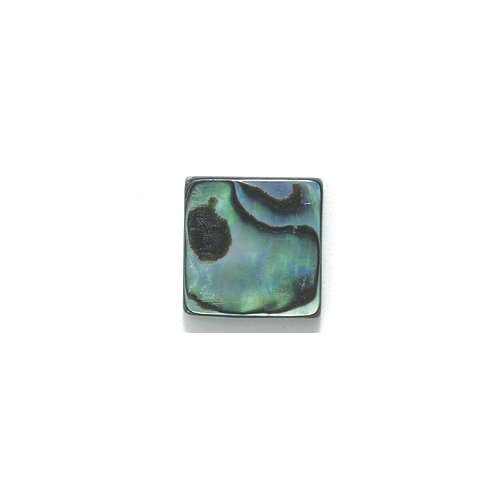 Shipwreck Abalone Flat