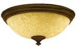 Ceiling Fan Lights