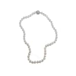 SAVE $30.01 - Genuine Pearl Necklace 6.5 - 7mm with a Silver Clasp $29.99