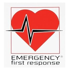 PADI Stickers - EFR