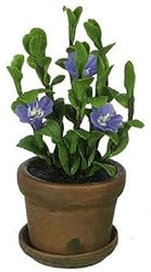 Dollhouse Miniature Blue Flower in an Aged Clay Pot