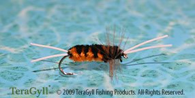 Bitch Creek Stonefly
