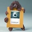Poodle, brown (2 1 2x 3 1 2) Small Picture Frame