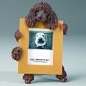 Poodle, brown (2 1/2x 3 1/2) Small Picture Frame