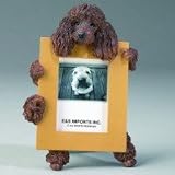 Poodle, brown (2 1 2x 3 1 2) Small Picture Frame