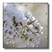 Delicate and Beautiful Spring Flowering Tree Flowers- Photography - 10x10 Wall Clock