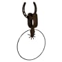 spur towel ring