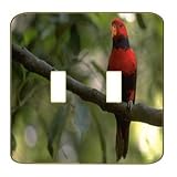 IMAGE OF Light Switchplate Cover - Double Toggle - Metal-Designer Switch Plate: Bird/Birds - (SDSBI-064)