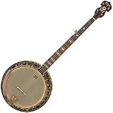 Musical Instruments : Washburn B120 5-String Banjo (Natural Distressed)