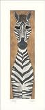 Dusty (Zebra) Framed Canvas