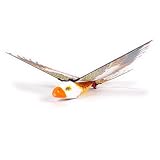 Easy Model - Oiseau robot radiocommand� - Robot bird