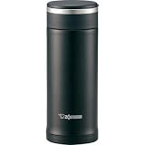 Stainless Steel Vacuum Bottle Color: Silver
