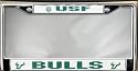 South Florida Bulls Chrome Frame