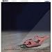 PAPER MODERN 12x12 25/pk Papercraft, Scrapbooking (Source Book)