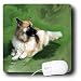 Dogs German Shepherd - German Shepherd - Mouse Pads