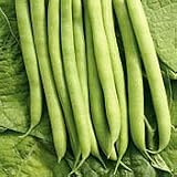 Organic Flaco Bush Bean 50 Seeds - B001FBDFJQ