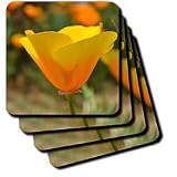 yellow and orange poppy - Set Of 4 Ceramic Tile Coasters