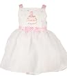 Rare Editions Clothes BIRTHDAY DRESS Childrens Girls Clothing Sizes 2T-6X