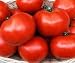 Todd's Seeds - Tomato - Floradade Tomato Seed, Sold by the Pound