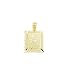 14k Yellow Gold Zodiac Sign Leo Astrology Charm Pendant