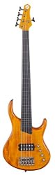 MTD Kingston Bass Guitar, Artist 5 String, Fretless with Lines, Transparent  Amber
