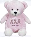 Stuffed 14" teddy bear with personalized custom embroidered Breast Cancer pink support ribbons.
