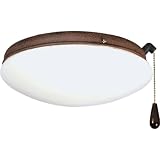 31KtG SSL9L. SL160  Progress Lighting P2611 33 2 Light Kit with White Opal Glass For Use with P2500, P2501 and P2502 Ceiling Fans, Cobblestone