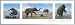 Elefanten Midi-Poster und Kunststoff-Rahmen - Life's A Beach, Triptychon (91 x 30cm)