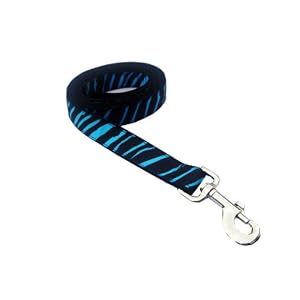 Large Turquoise/Black Zebra Dog Leash - Nylon Webbing: 1