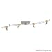 Paulmann Cannes S-Form 4X35W NICKEL BUCHE
