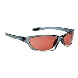 OPTIC NERVE INDIGO SUNGLASSES