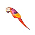 Parrot (Smiffys)