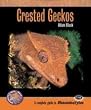 Complete Guide to Crested Geckos