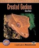 Complete Guide to Crested Geckos