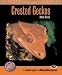 Complete Guide to Crested Geckos