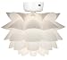 31KuKP4G5oL. SL75  Schoolhouse Ceiling Fan Light Kit, 9 Antique Brass