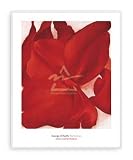 ポスター ジョージア オキーフ Red Cannas 額装済 アルミハイグレードフレーム（ゴールド） canna