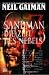 Sandman, Bd. 4: Die Zeit des Nebels (Broschiert)