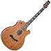 Parker P7EQS Acoustic Electric Guitar (Quilted Sepele Top)