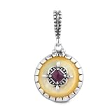 Carolyn Pollack Mixed Metal Gold Mother of Pearl Reversible Modern Traditions Charm