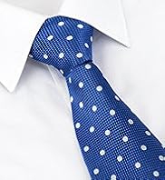 Collezione Sartorial Pure Silk Spotted Tie