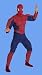 Search : Deluxe Spiderman 2 Movie Costume