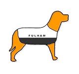 Fulham Personalised Waterproof Dog Coat Size XS (10 25cm)