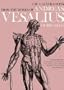 The Anatomical Drawings Of Andreas Vesalius