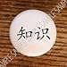 Chinese Lettering Symbol Word ~ Knowledge ~ Drawer Pulls Knobs