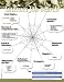 Internet Job Search - Single Laminated Poster