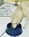 Pet Supplies : K&H Manufacturing Thermo-Bowl - 96 Ounces
