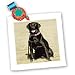Dogs Labrador Retriever - Labrador Retriever - Quilt Squares