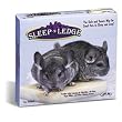 Super Pet Sleep-N-Ledge Cage Accessory for Climbing Critters (7 Inch L x 6 1/4 Inch W x 1 1/4 Inch H)