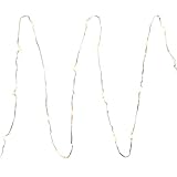 Everlasting Glow LED Micro Light String 18 Warm White Light, Battery Operated